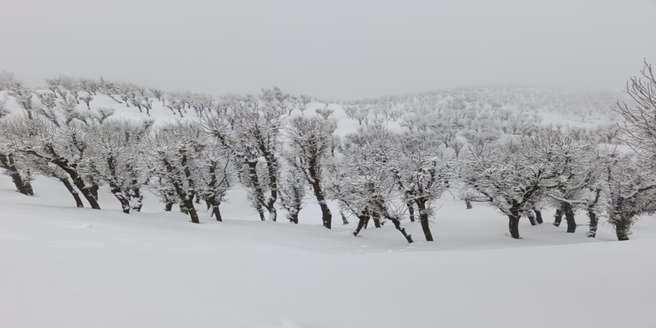 Batman'da nisan ortasında kar sürprizi
