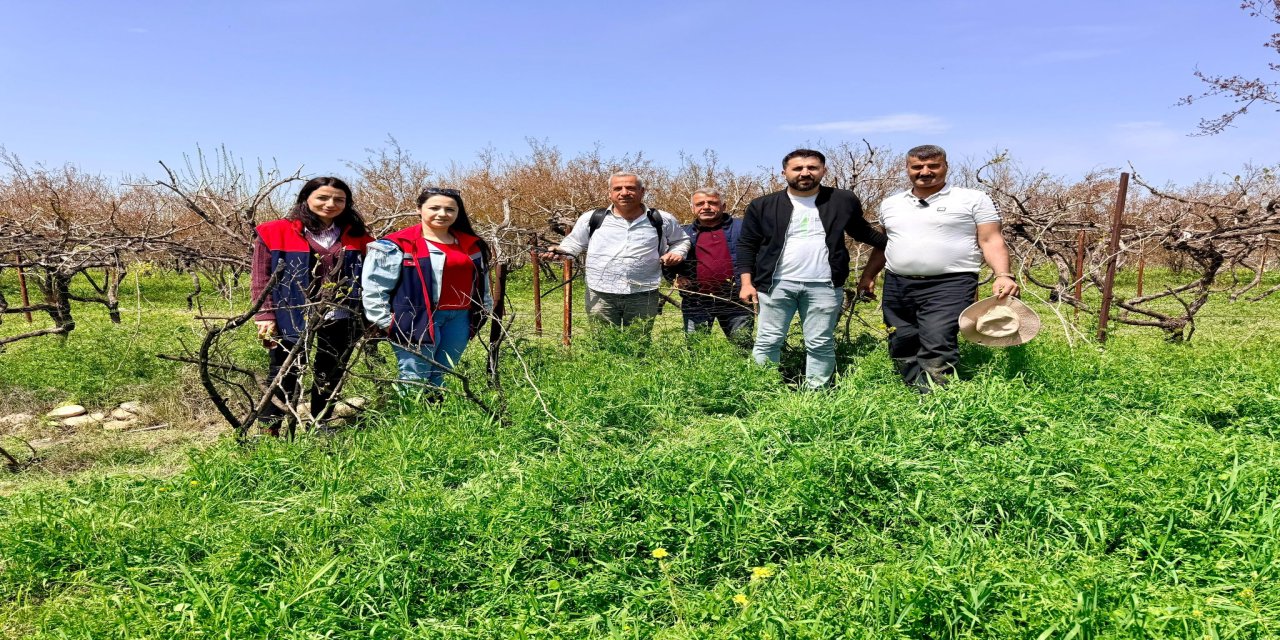 Şırnak İl Tarım Müdürlüğü'nden Sahada Bilgilendirme Seferberliği