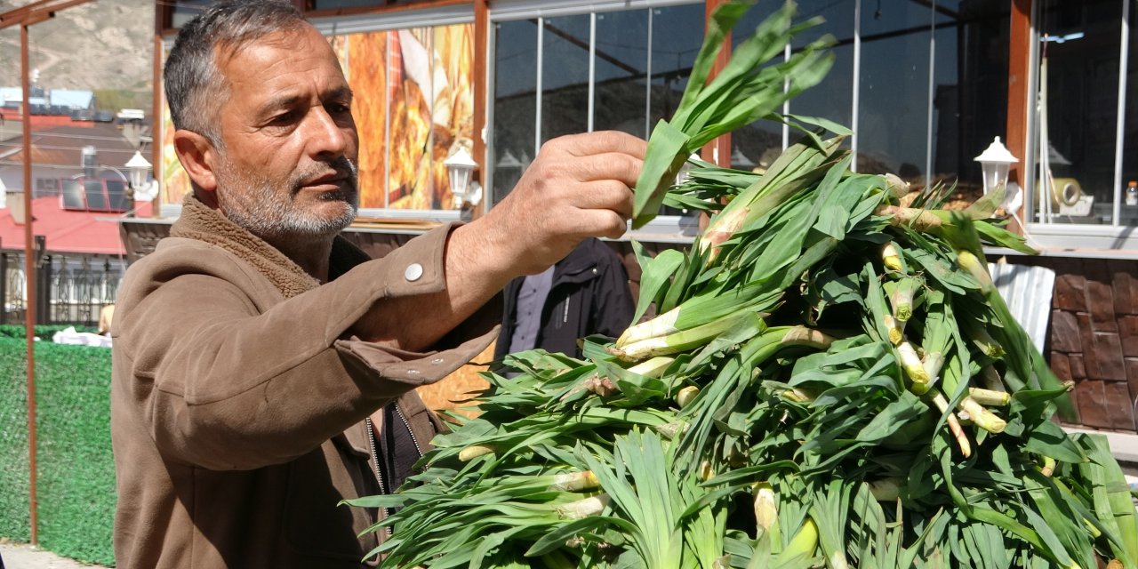 Şifa kaynağı ‘çiriş otu' 100 TL'den tezgahlardaki yerini aldı