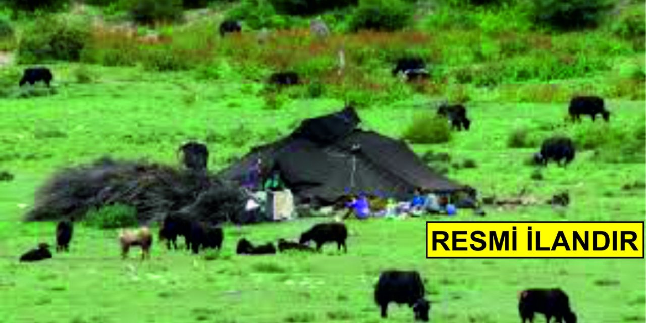 ŞIRNAK ÖZEL İDARESİ GÖÇER YAŞAM VE SÜRÜ ALANLARI İÇİN MALZEME SATIN ALACAK
