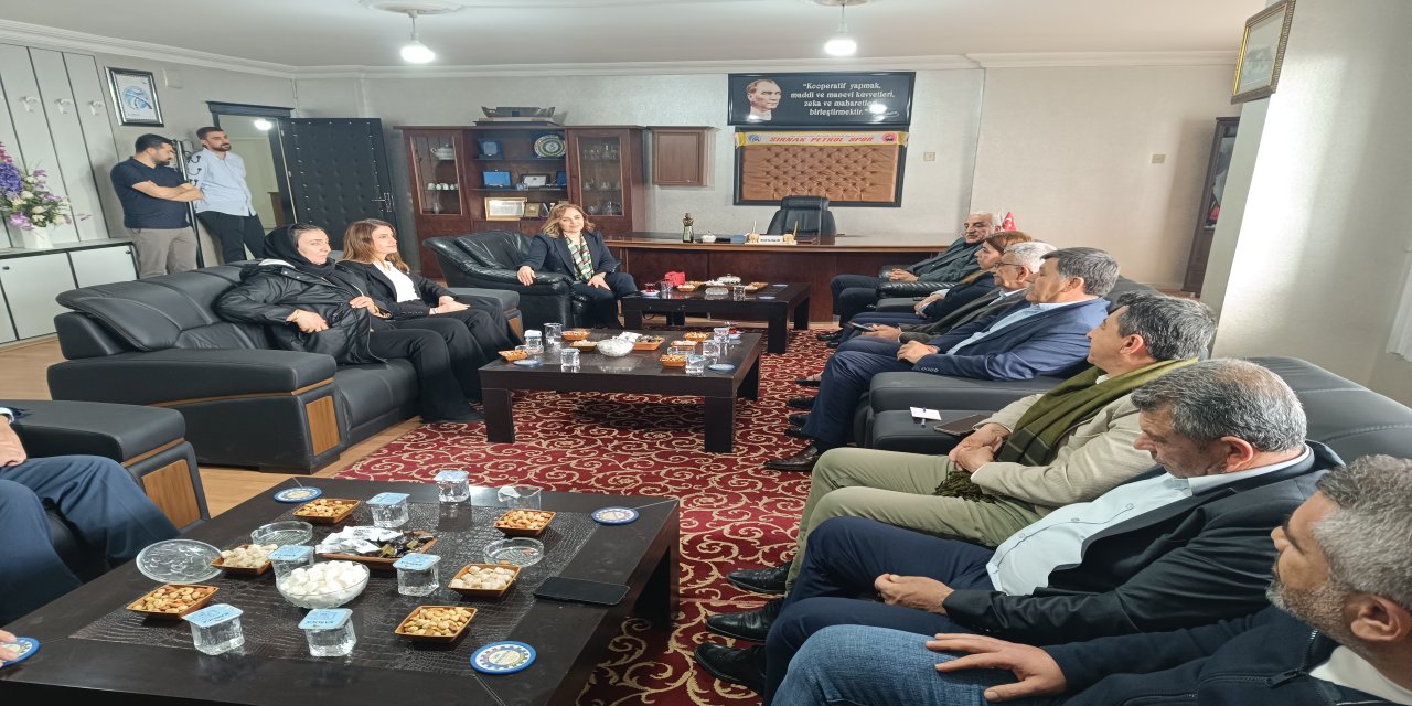 DEM Heyeti Şırnak’ta Sivil Toplumla Bir Araya Geldi