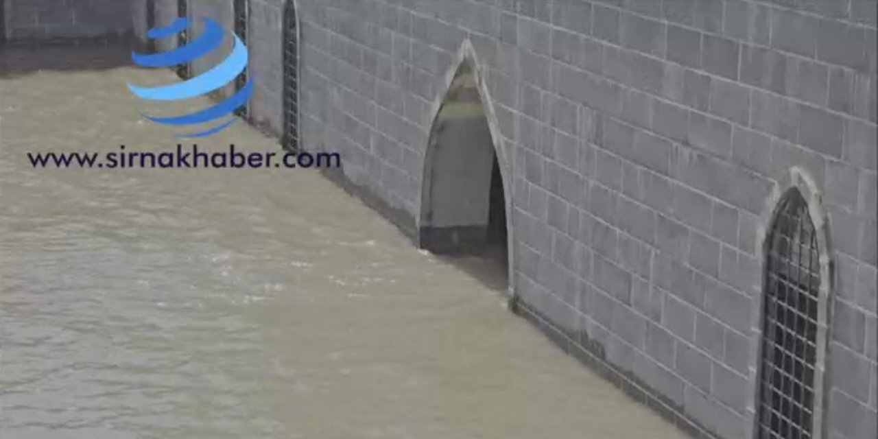 Dicle Yükseliyor, Cizre Alarmda: İki Baraj Arasında “Facia” Uyarısı