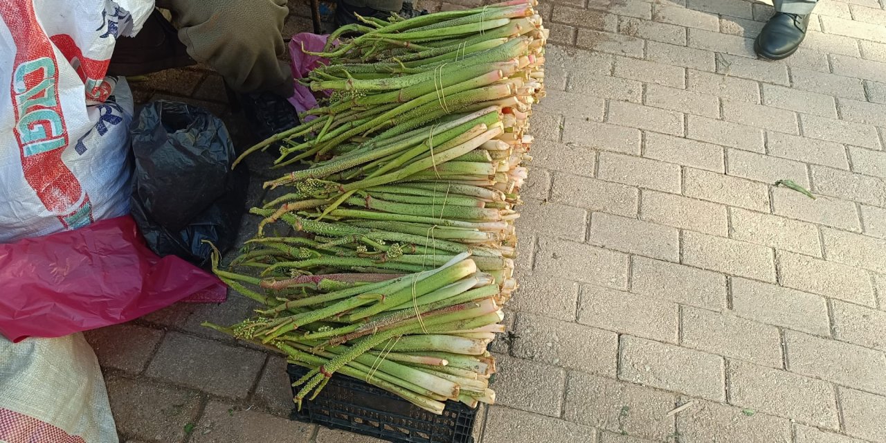 “Doğunun Muzu” Uçkun Şırnak’ta Tezgâhlarda: Fiyatı Dudak Uçuklattı