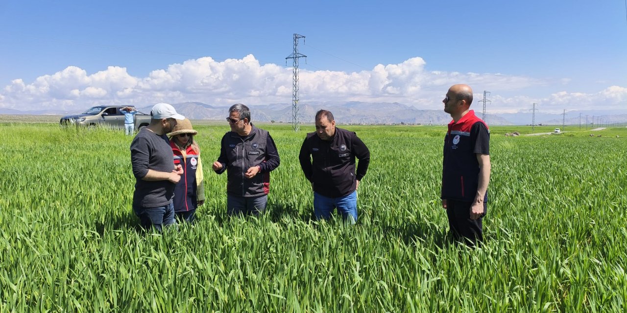 Vatandaşların yağmur duasına çıktığı Cizre’de Son 10 Yılın Yağış Rekoru kırıldı