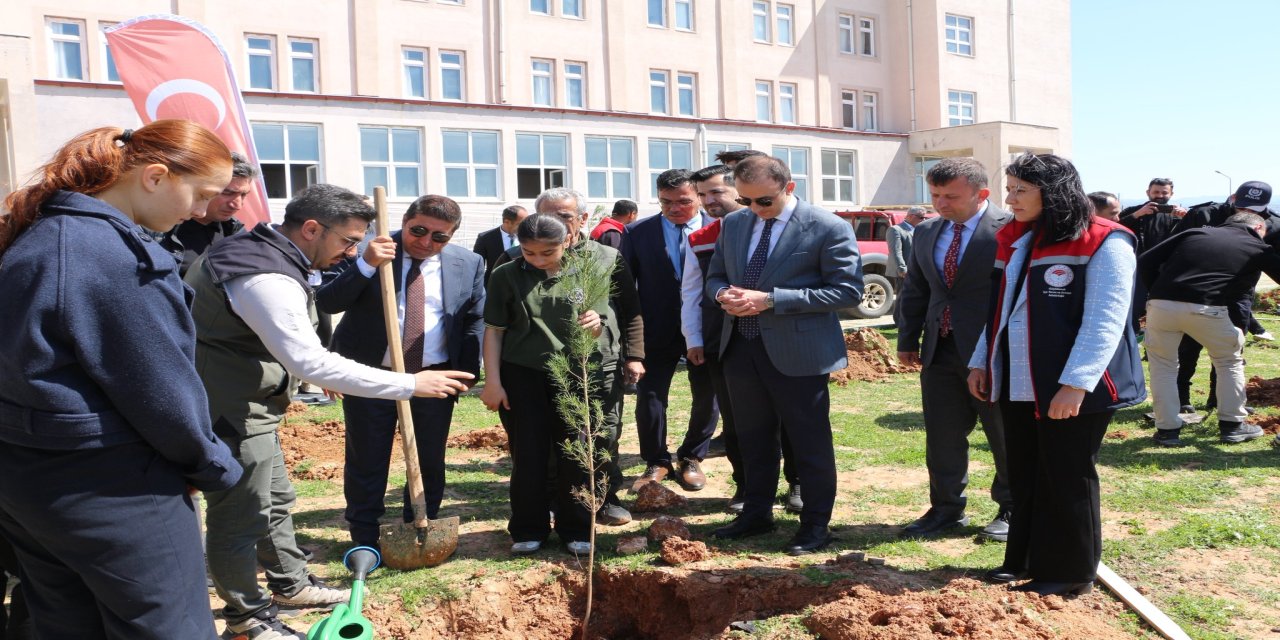 Kaymakam Memiş’ten Güçlükonak’a Yeşil Dokunuş