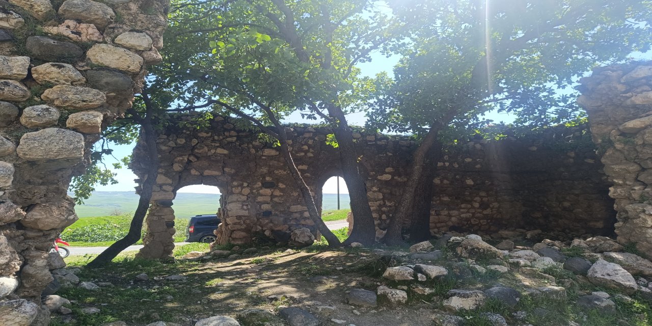 Şırnak’ta Faki Teyran Medresesi İçin Restorasyon Çağrısı
