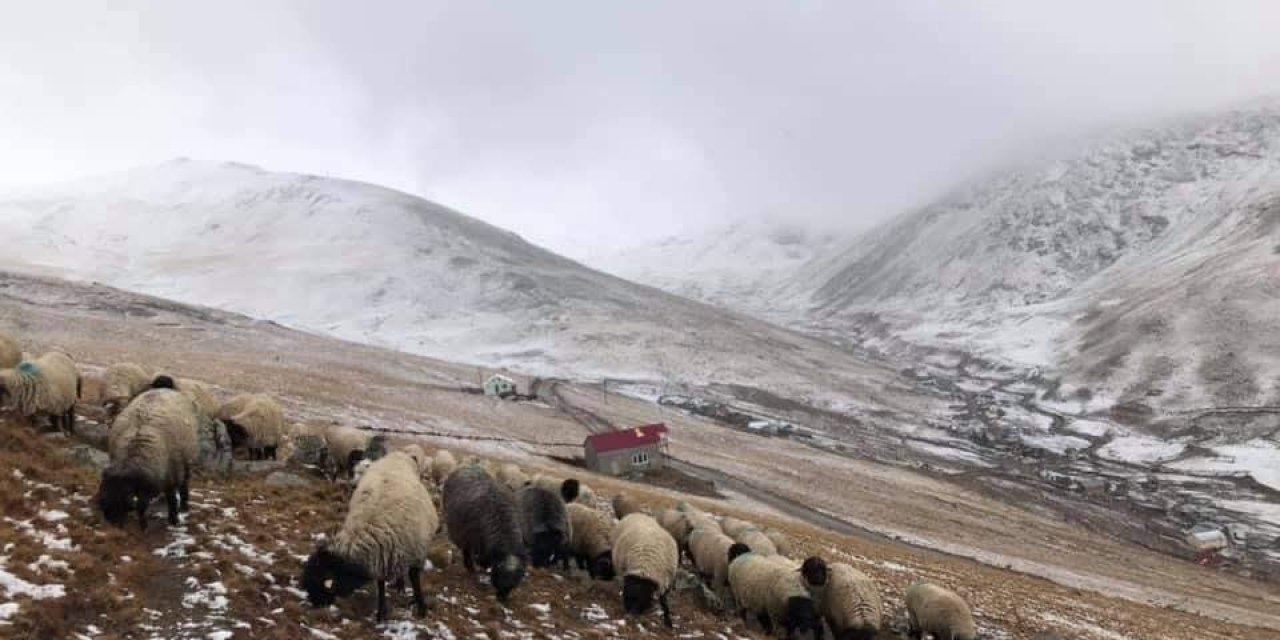 300 Yıllık Yayla Geleneğine ‘Mera’ Engeli: Yaylacılar Ayaklandı!