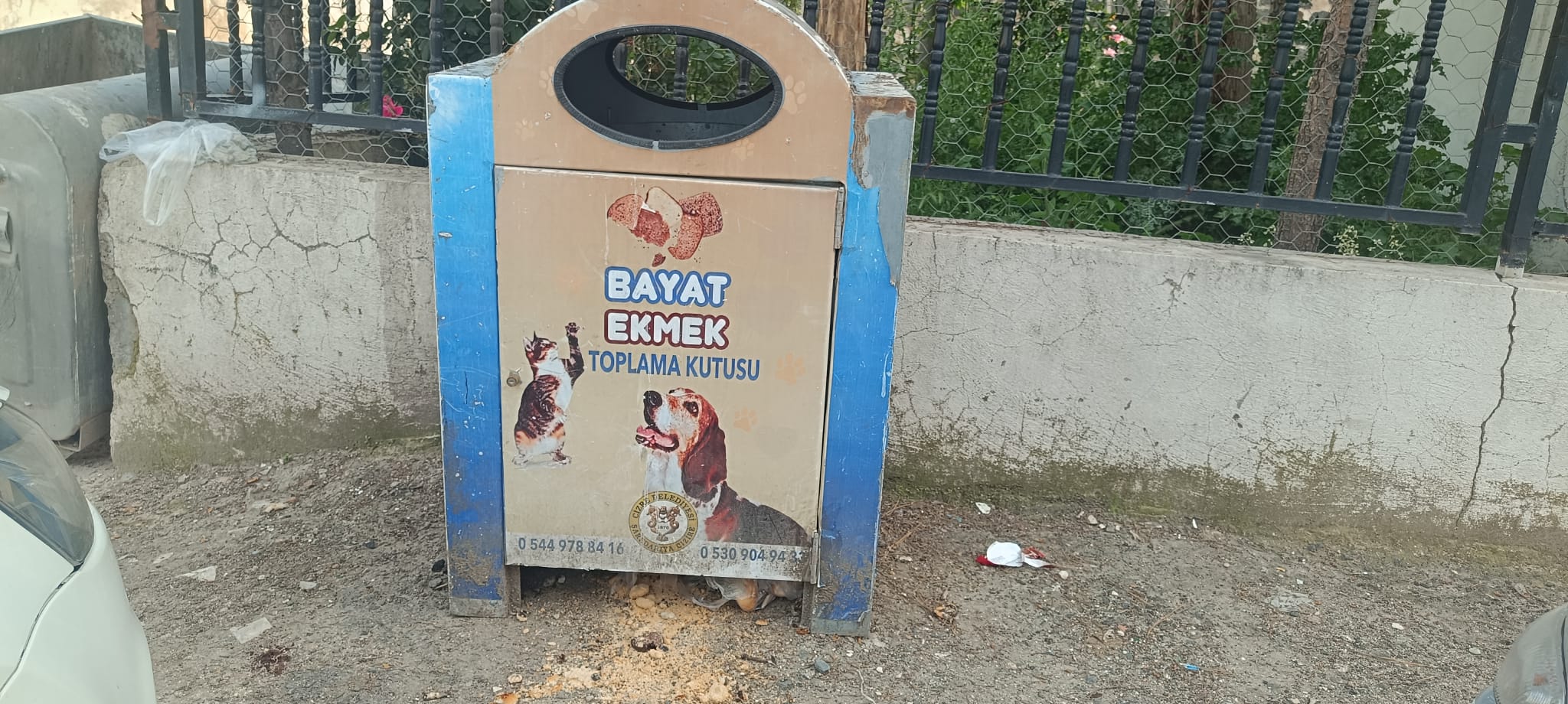 Cizre’de Bayat Ekmekler "Can" Oldu