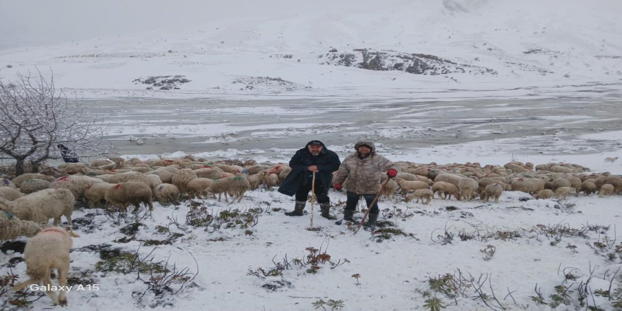 Tipi vurdu heyelan yolu kapattı, 2 çoban ve yaklaşık 650 küçükbaş hayvan yaylada mahsur kaldı