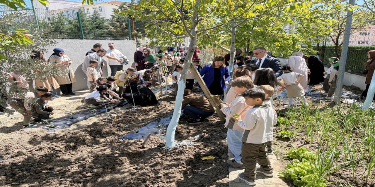 İlkokul öğrencileri, çilek fidelerini toprakla buluşturdu