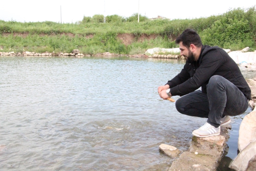 SİİRT’TE DOKTOR BALIKLAR ŞİFA DAĞITIYOR
