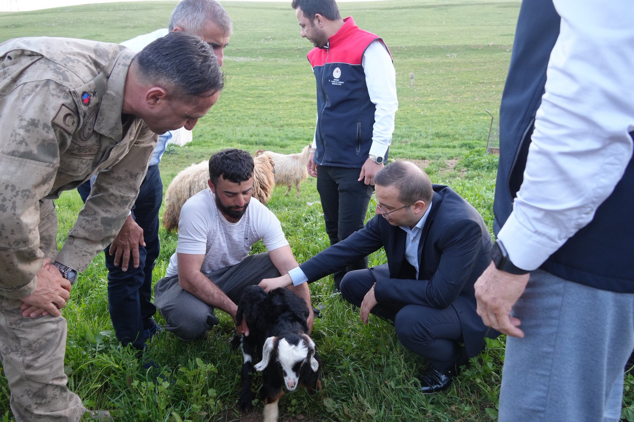 Cizre Kaymakamı Baycar, Göçer Üreticilerin Sorunlarını Yerinde Dinledi
