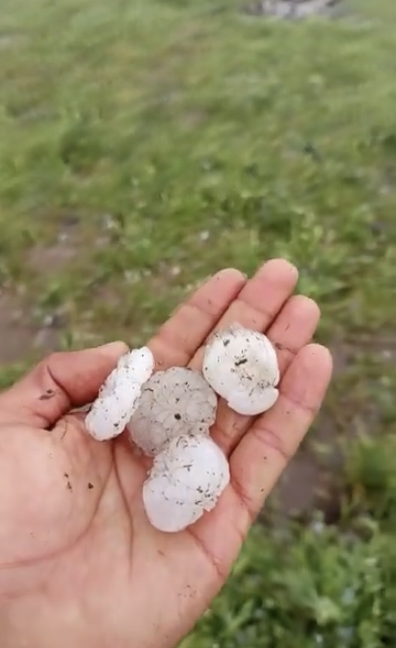 Siverek’te ceviz büyüklüğünde dolu yağdı