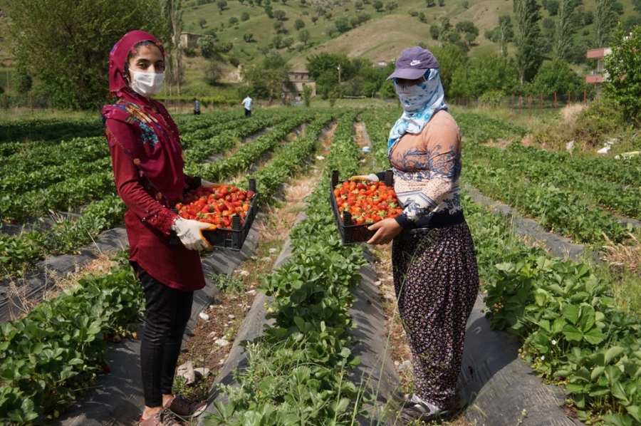 4 AİLE İLE BAŞLANDI DEVLET DESTEĞİYLE 400 AİLEYE GEÇİM KAYNAĞI OLDU