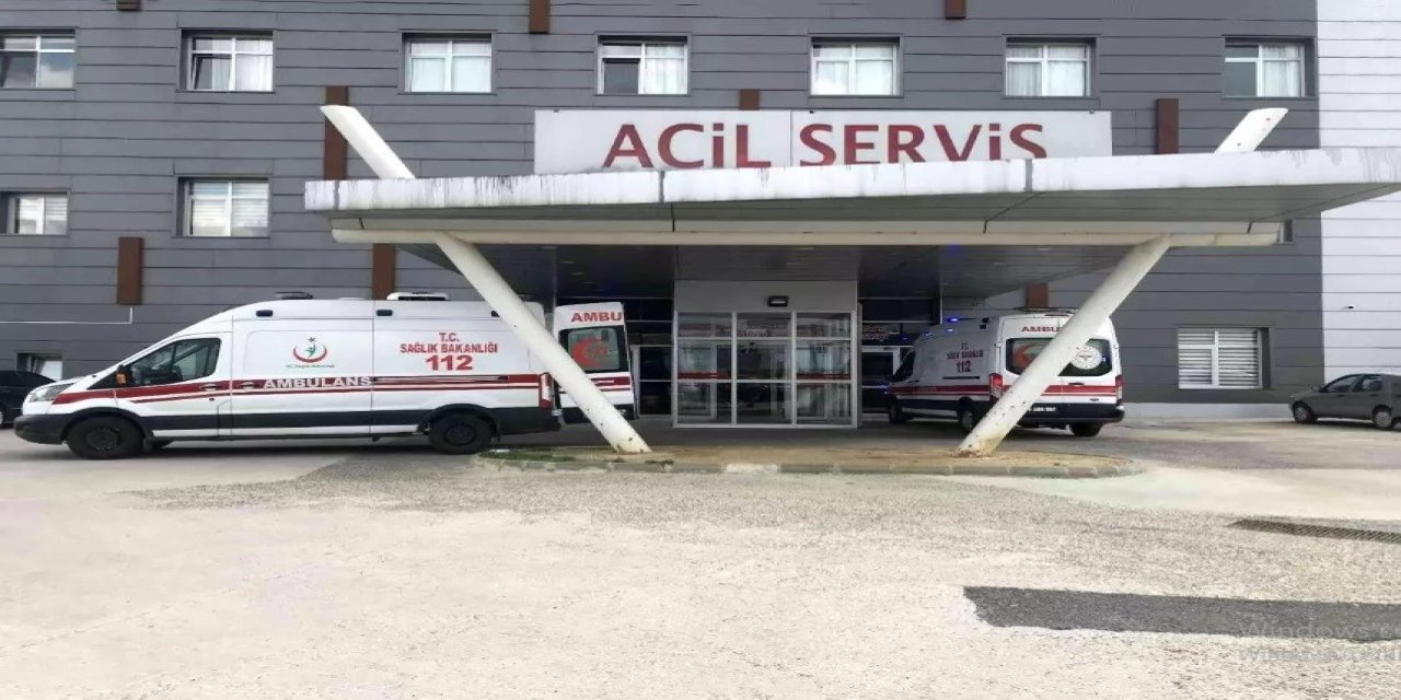 Arı saldırısına uğrayan yaşlı çift hastanelik oldu