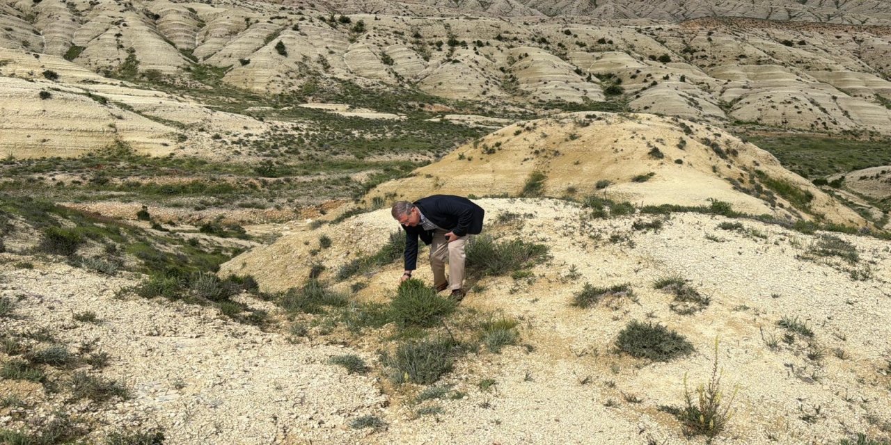 Adıyaman-Şanlıurfa Yolundaki Jeolojik Miras Bilim İnsanlarının Markajında