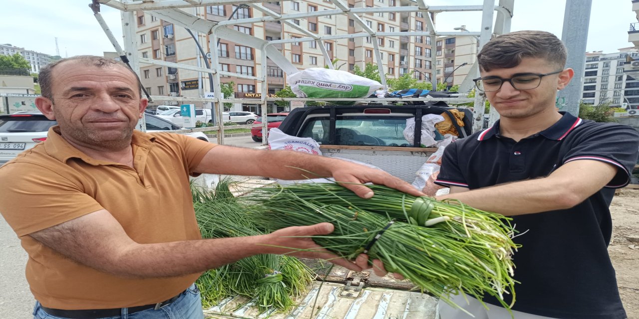 Şırnak'ta Sirik Otu Tezgahlarda Yerini Aldı: Destesi 150 TL'den Satılıyor