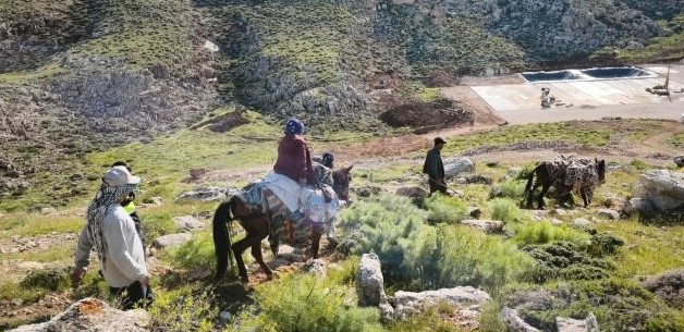 Siirt'te kalp krizi geçiren kadın, katır sırtında sağlık ekiplerine ulaştırıldı