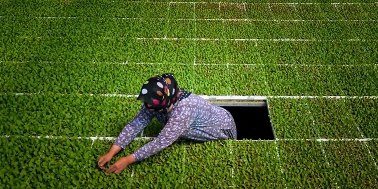 Şırnaklı Fotoğrafçılara Uluslararası Yarışma Fırsatı