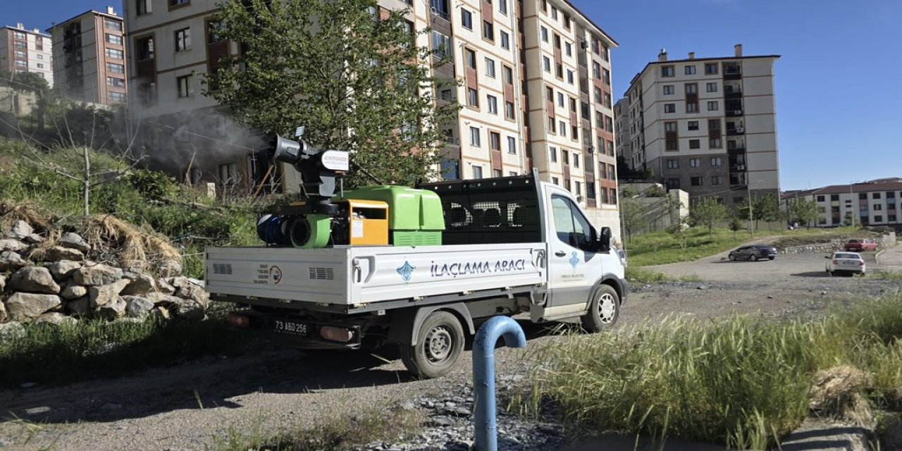 Şırnak'ta haşerelere karşı ilaçlama çalışmaları sürüyor