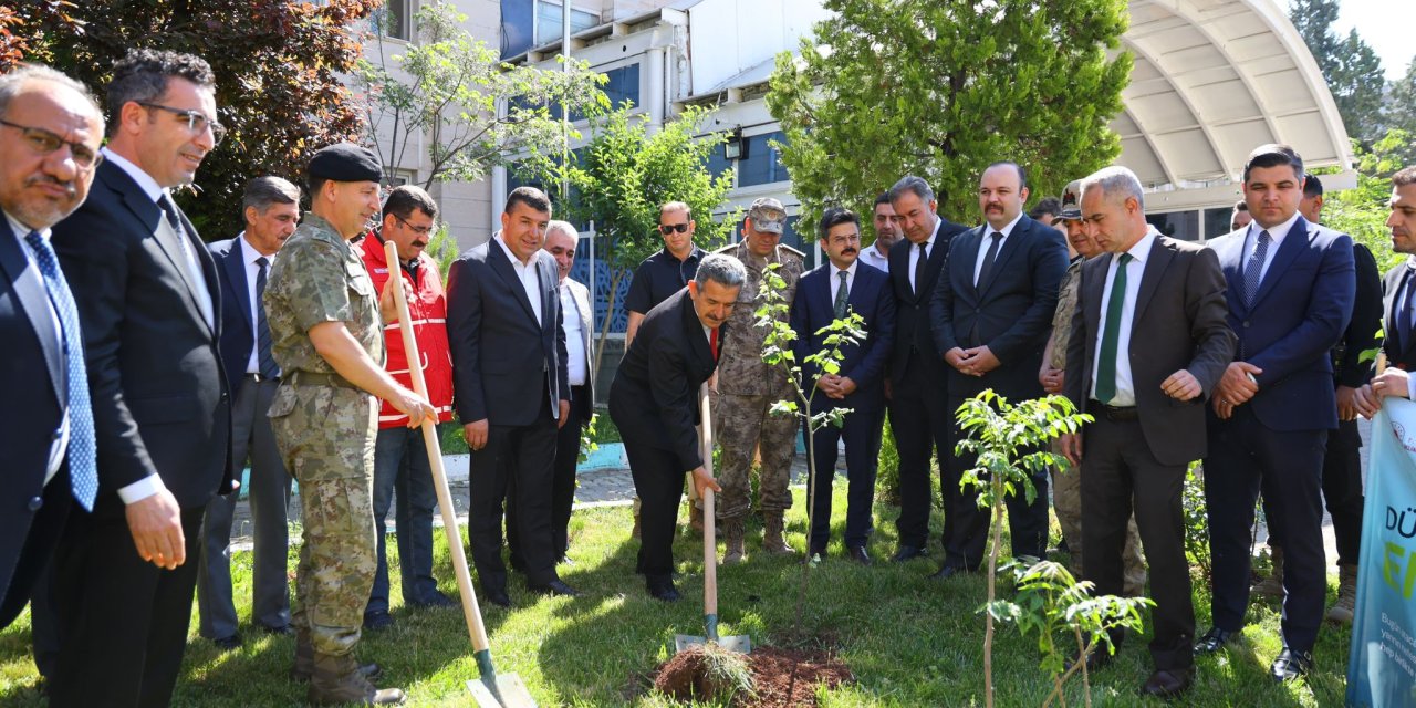 Şırnak'ta Dünya Çevre Günü Fidan Dikim Etkinliğiyle Kutlandı