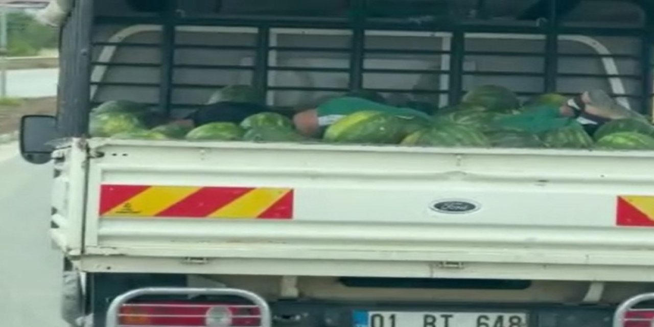 Karpuzlar arasında uyku gülümsetti