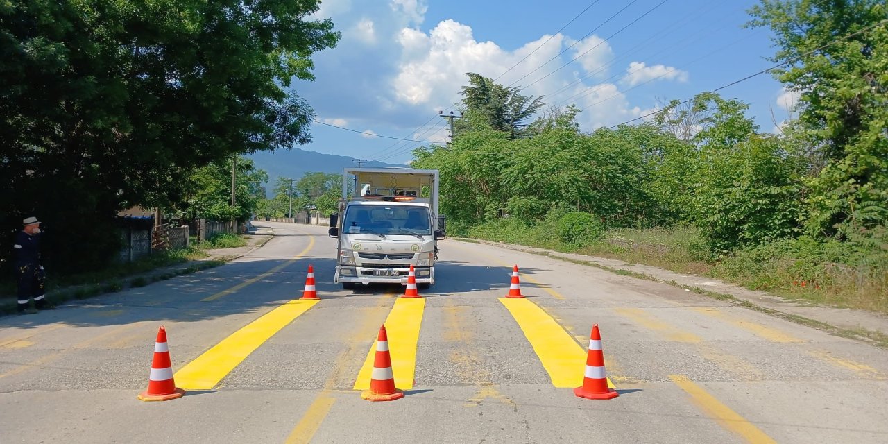 Trafik güvenliği için kasisler boyandı