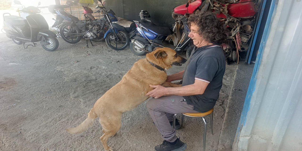 Gözleri görmeyen köpeğe 13 yıldır evladı gibi bakıyor
