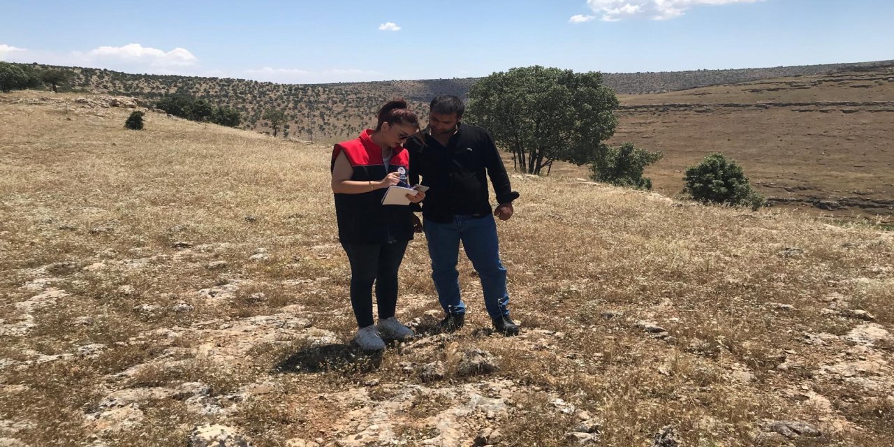 Şırnak’ta Meralar İçin Kritik Çalışma! Güzelova Köyü’nde Sahaya İnildi