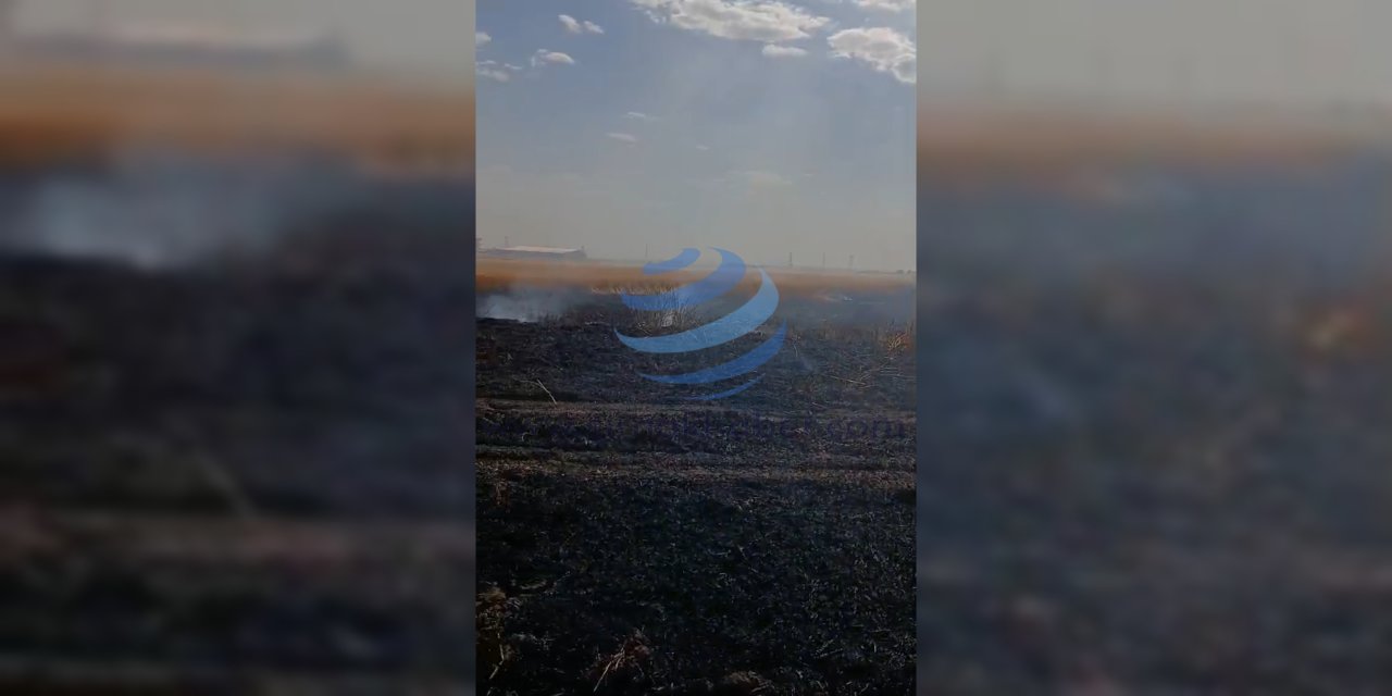 Silopi’de Buğday Tarlasında Yangın: Ekili Alan ve Sulama Sistemleri Zarar Gördü