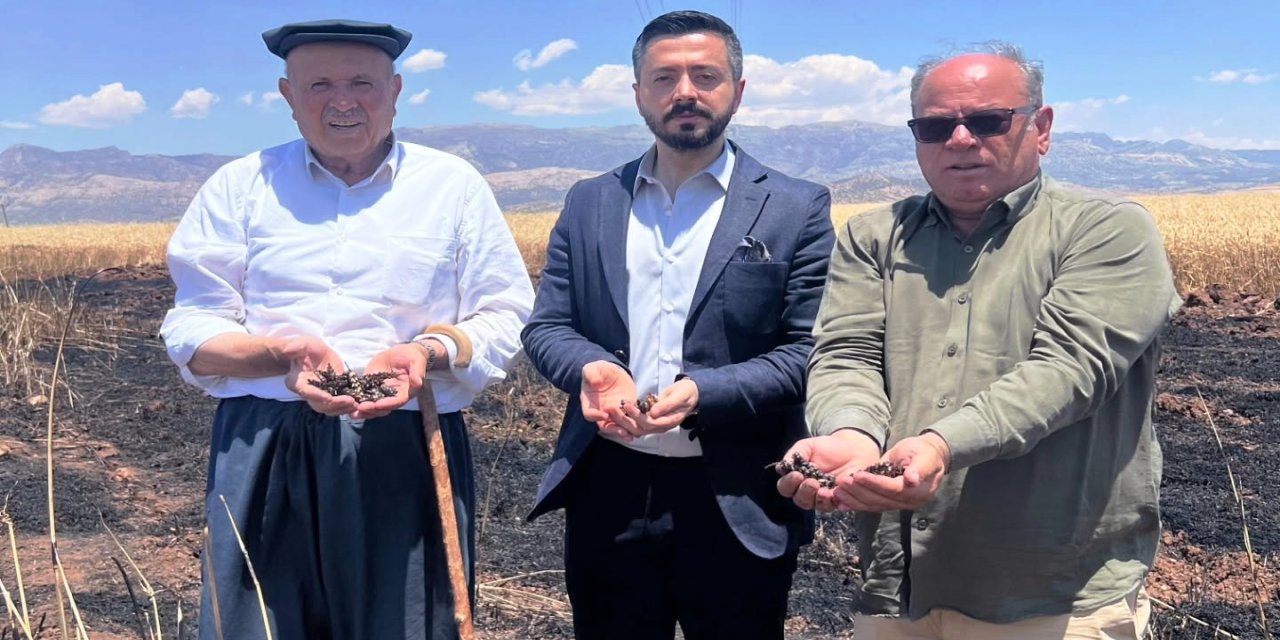 Silopi’de Çiftçinin Zarar Gördüğü Alanda İnceleme Yapıldı