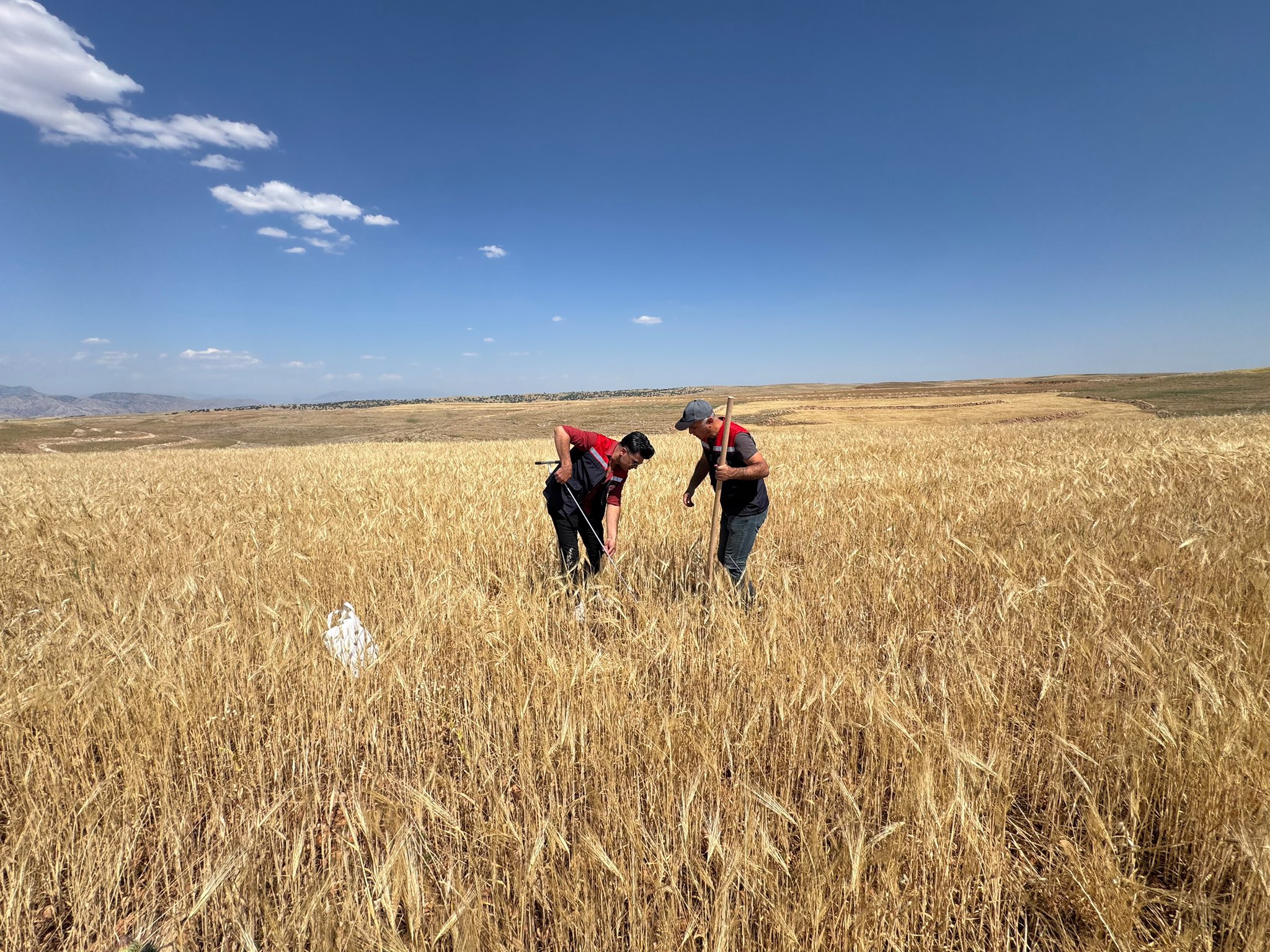 Şırnak’ta Hayvancılık Yatırımları İçin Arazi Etüt Çalışmaları Başlatıldı