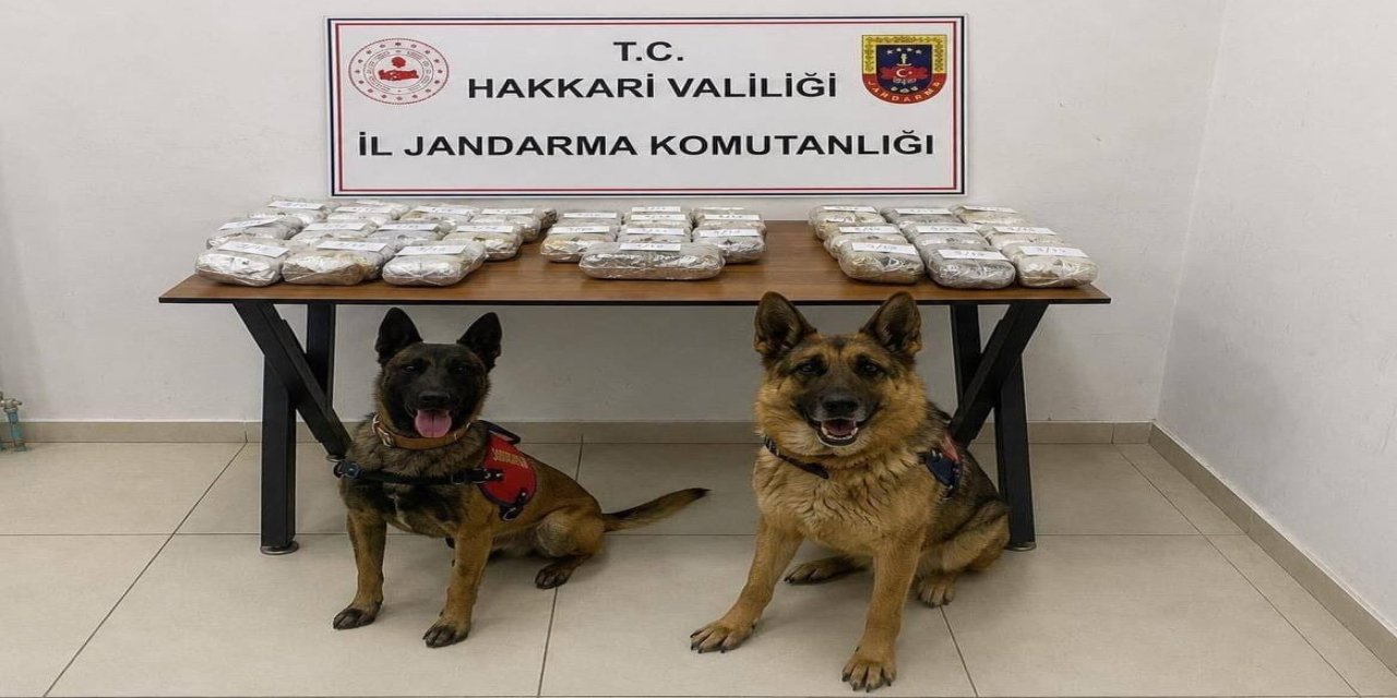 Hakkari'de 21 kilo 650 gram toz esrar ele geçirildi