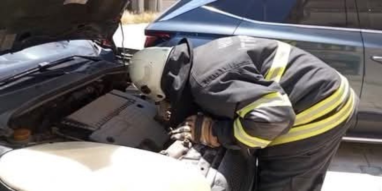 Arsuz'da aracın motor kısmına giren yavru kedi kurtarıldı