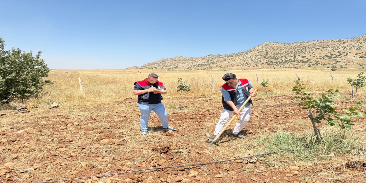 Şırnak’ta Büyükbaş Hayvan Çiftliği Yatırımları İçin Arazi Etütleri Yapıldı