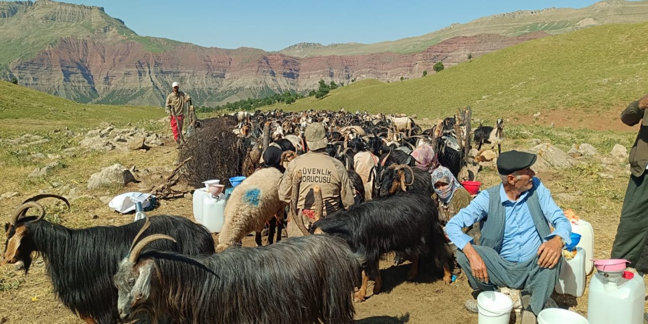 Şırnak’ta Hayvancılığın Kalbi Behra Hınca’da Atıyor