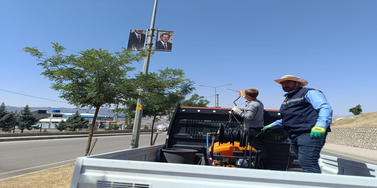 Şırnak'ta Hummalı Çalışma! Cizre Caddesi'nde Ağaçlar Tek Tek İlaçlandı