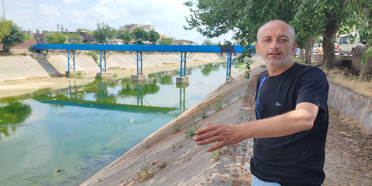 Adana'da Vatandaşları Bezdiren Sivrisinek İstilası!