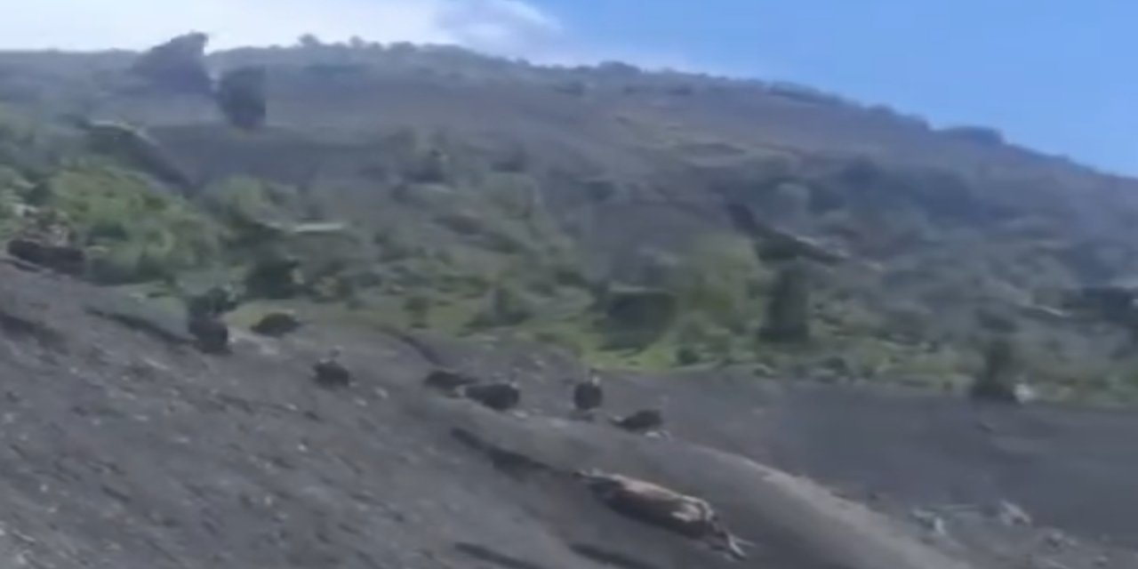 Şırnak-Siirt Yolunda Ürküten Manzara! Onlarcası Aynı Noktada Toplandı