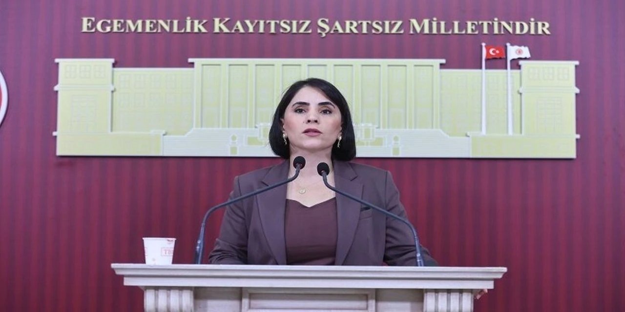Aslan: "Şırnak'ta hastane var, doktor yok; sağlık sistemi gerçekte işlemiyor"
