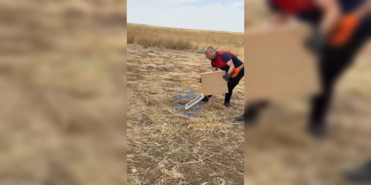 Silopi'de 10 Gün Arayla İkinci Kez Dev Kertenkele Görüldü