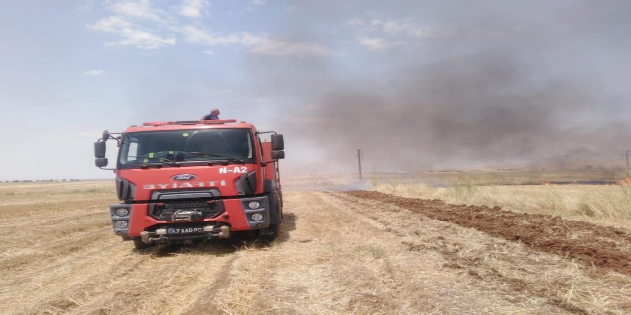 Mardin'de anız yangını söndürüldü