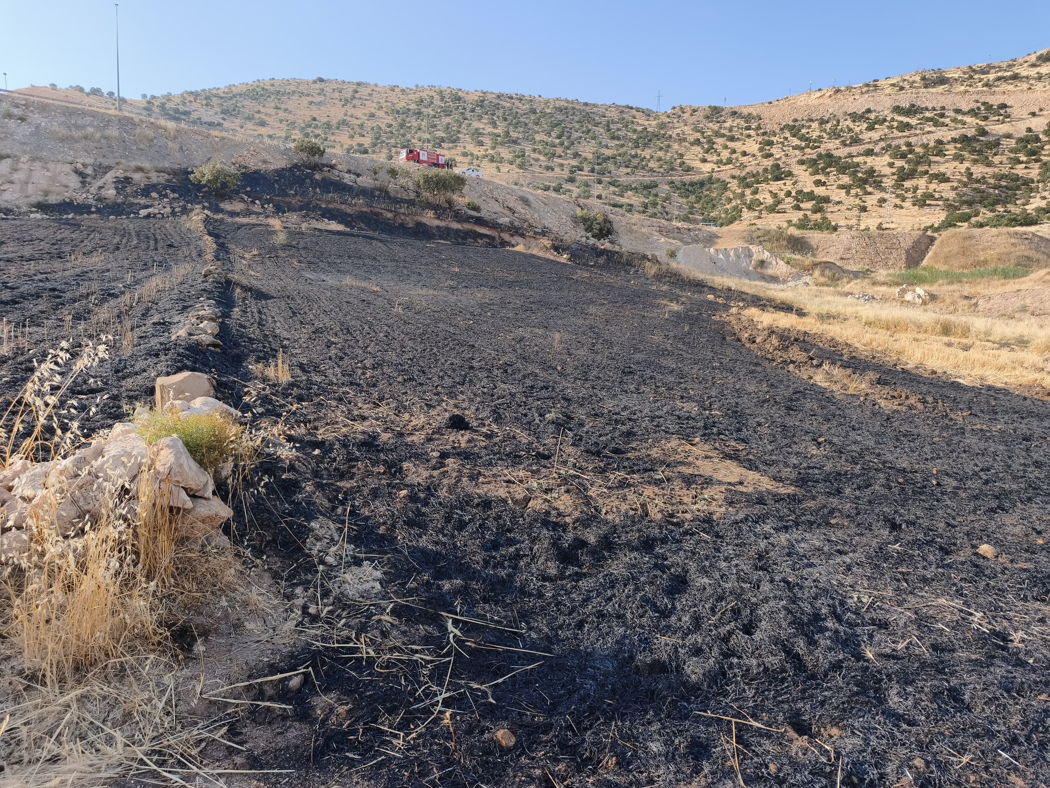 Cizre’de Arazide Uyurken Yangının Ortasında Kalan Çoban Ağır Yaralandı