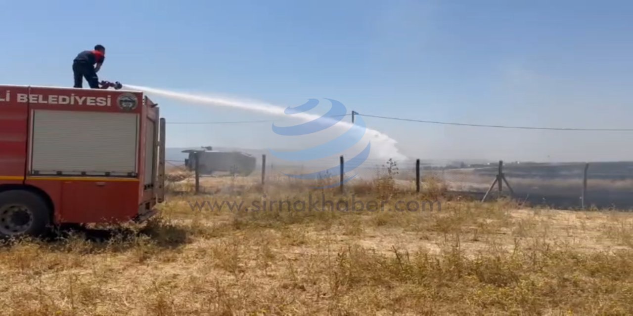 Silopi’de anız yangını yerleşim alanlarına sıçramadan söndürüldü