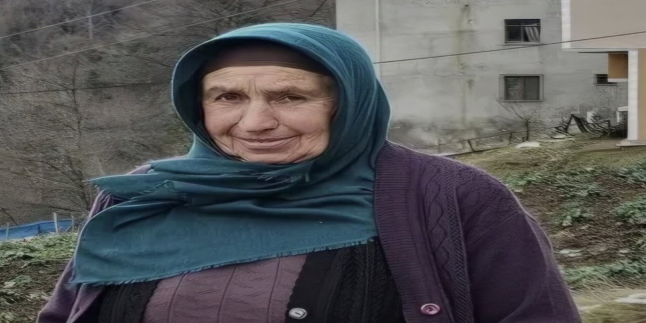 Ot biçme kavgasında 64 Yaşındaki Kadın öldürüldü