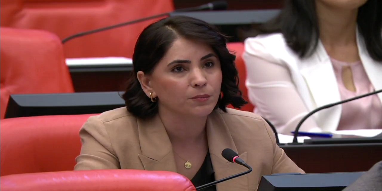 DEM Partili Nevroz Uysal Aslan, Silopi Termik Santrali'ni Meclis gündemine taşıdı