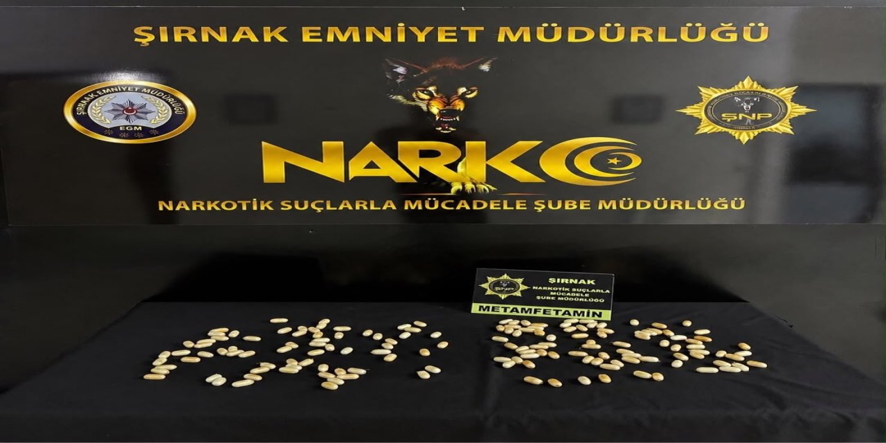 Şırnak'ta midelerinde 151 parça metamfetaminle yakalandılar