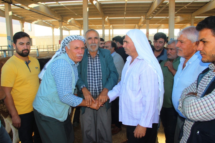 ŞANLIURFA HAYVAN PAZARLARINDA HAREKETLİLİK BAŞLADI