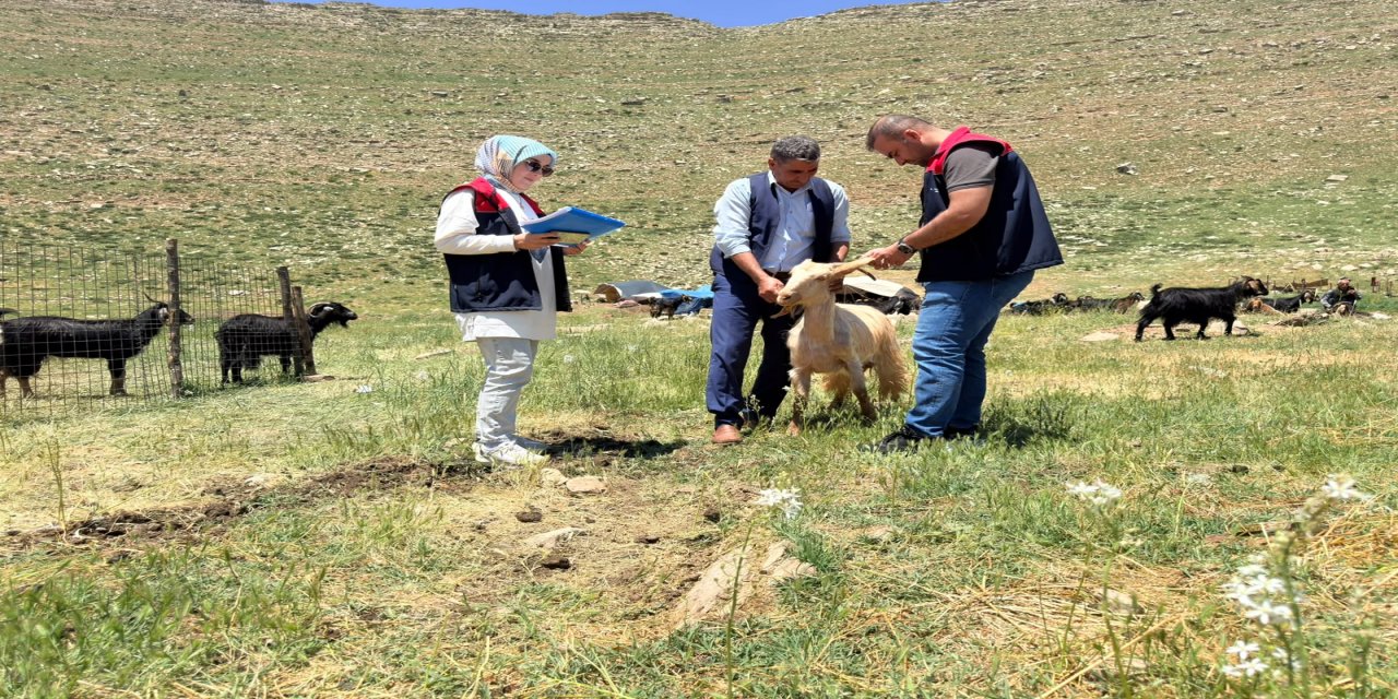 Şırnak’ta Kırsal Kalkınma Yatırımlarına 2026 Yılı Denetimi