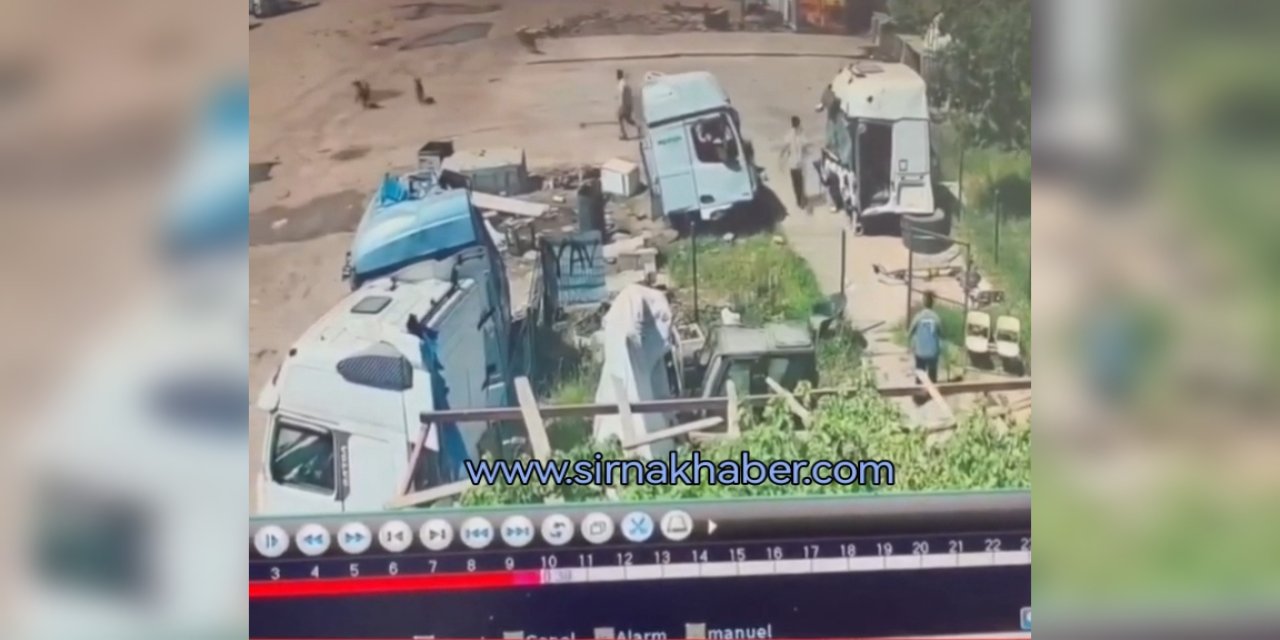 Şırnak'ta Korku Dolu Anlar: Sokak Köpekleri Çocuğa Saldırdı